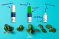 Bild 3 von HERBS4U Nasal-Inhalator mit ätherischen Ölen | 3 in 1 | 1 Karton (36 Stück)